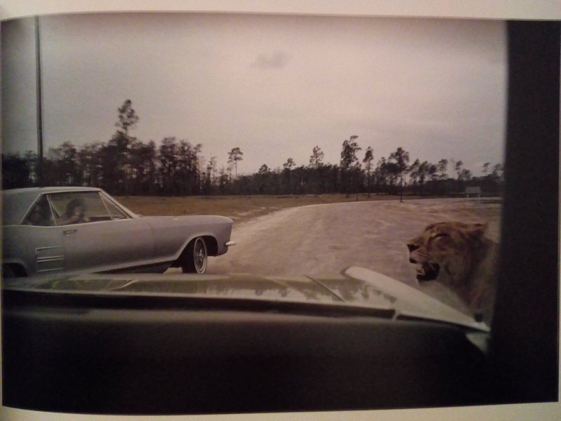 Joel Meyerowitz - Page 2 Img_2021
