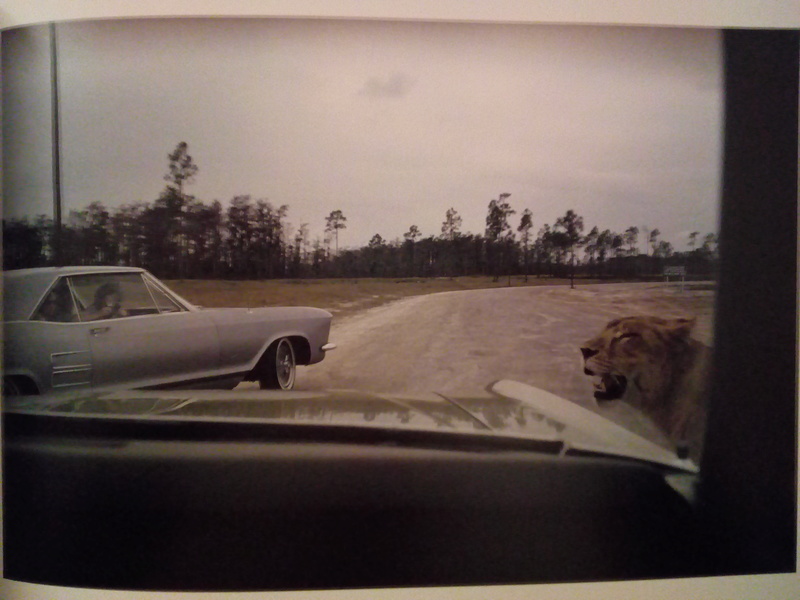 Joel Meyerowitz  - Page 2 Img_2021