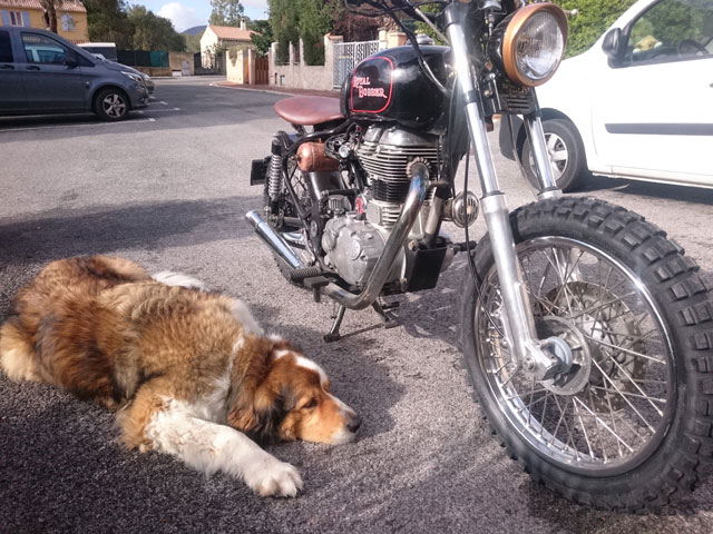 Mon p'tit bobber, puis passage en Scrambler...................... - Page 6 Dsc_2814