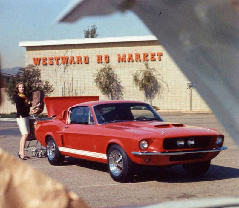 1967 Shelby (photo d'époque) 23130510