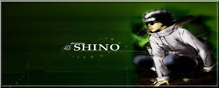 kit pour Shino Shino110