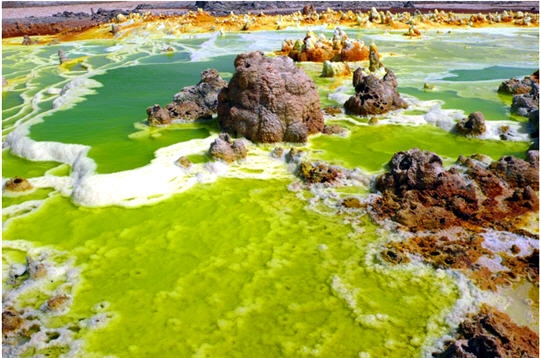 Environnement >  Les lacs acides du Dallol Algue-10