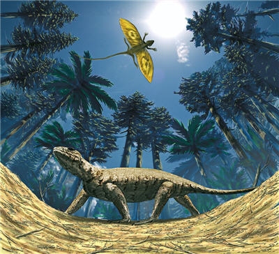 Science > Biologie > Animaux avant les dinosaures Animau11