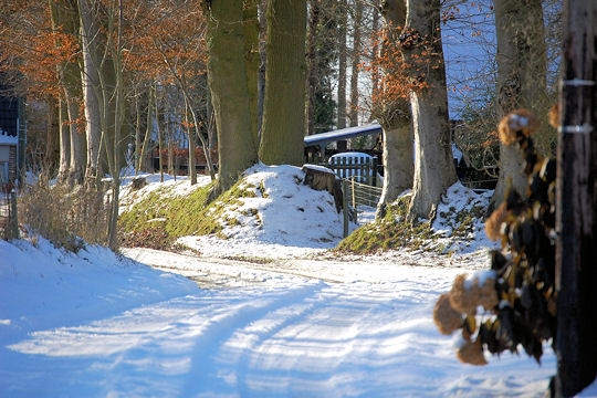 Actualit >  La France sous la neige Lintot10