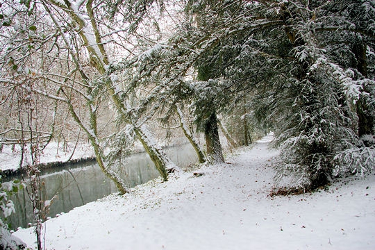 Actualit >  La France sous la neige Loiret10