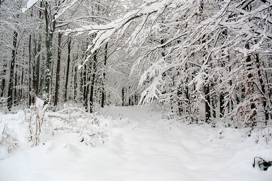 Actualit >  La France sous la neige Pas-de11