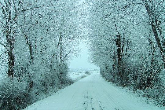 Actualit >  La France sous la neige Puy-de10