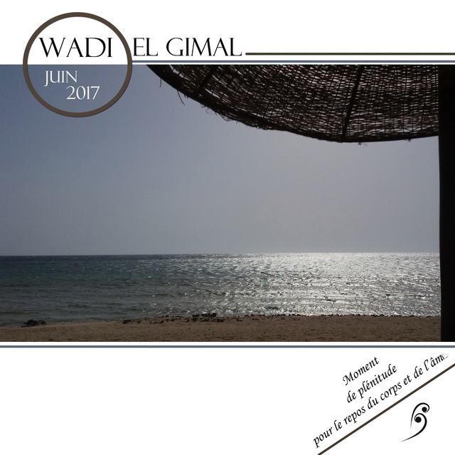 Challenge Visiteurs n°2018 - 5 - Typo - Page 3 Wadi_e11