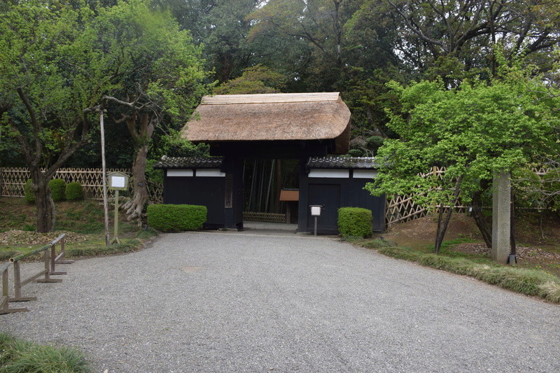 Le parc Kairaku-en à Mito. Dsc_0016