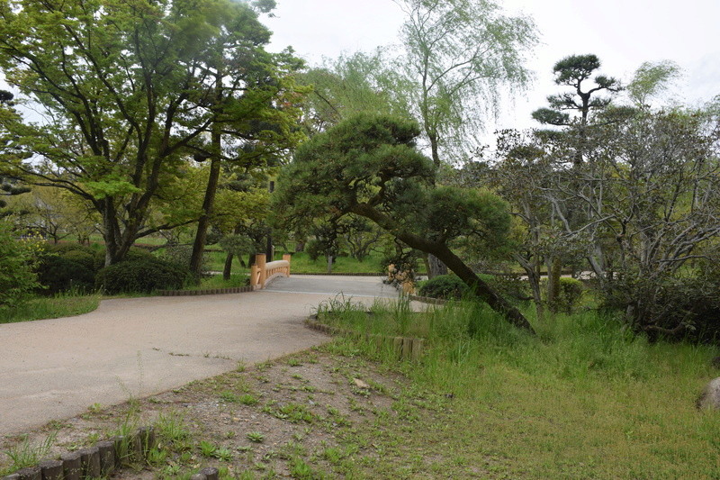 Le parc Kairaku-en à Mito. Dsc_0025