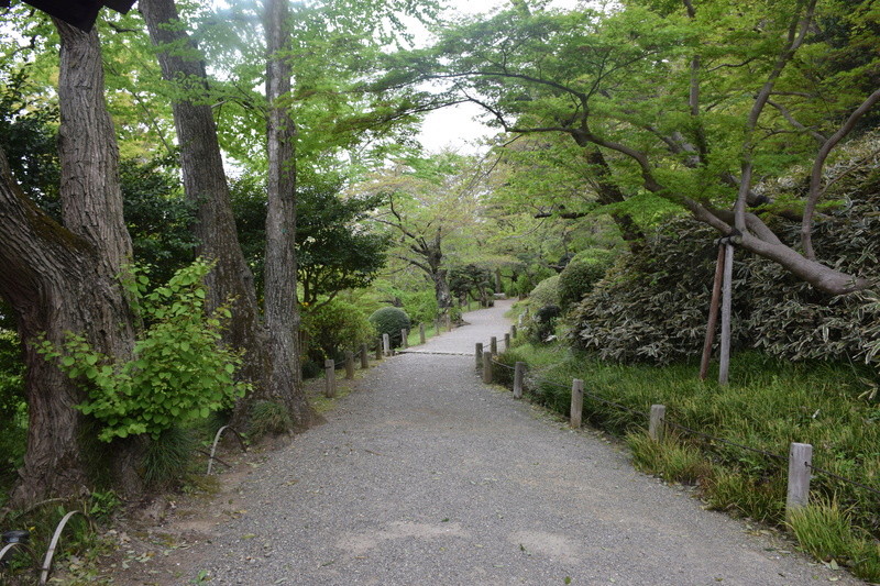 Le parc Kairaku-en à Mito. Dsc_0028