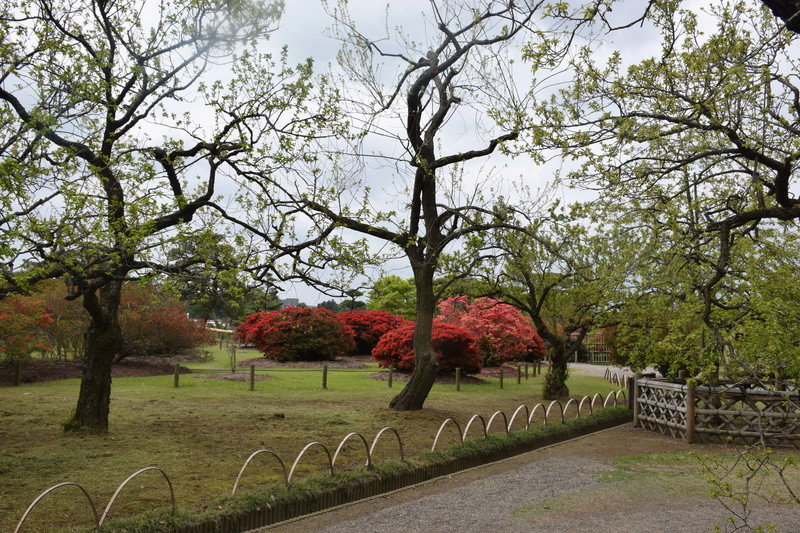 Le parc Kairaku-en à Mito. Dsc_0035