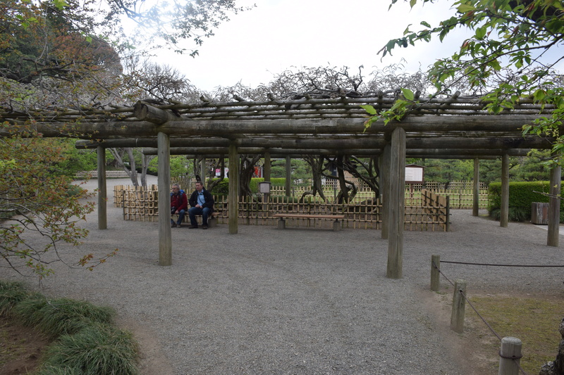 Le parc Kairaku-en à Mito. Dsc_0154
