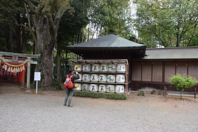 Le parc Kairaku-en à Mito. Dsc_0168
