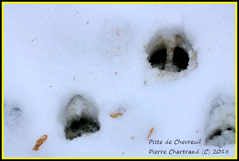 Samedi Matin Piste_10