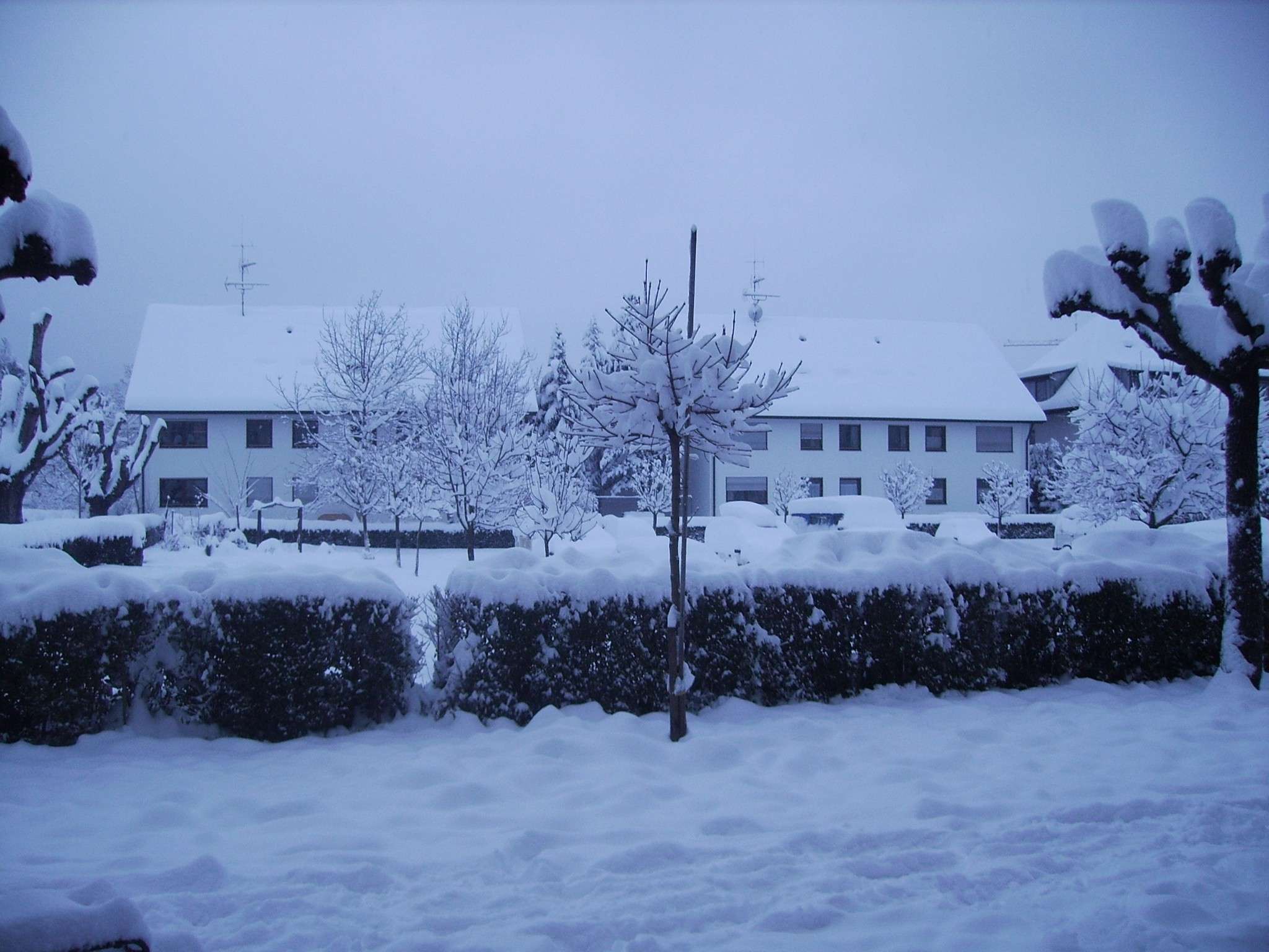 quelques photos d'hiver Img_0010