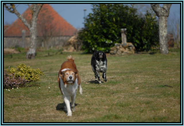 *Fouine Patty, Fouinette Tana*... grandes amies de Li, Lo et Marlo amours ! - Page 4 Dsc_5832