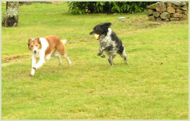 Animaux en folie, parce que il n'y pas que quand ils dorment qu'ils font n'importe quoi!! - Page 4 Dscn7210