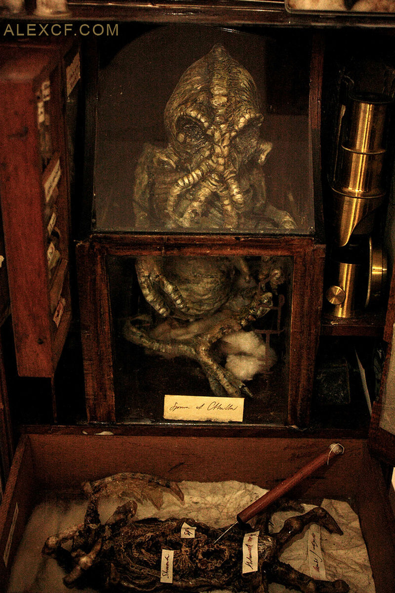 MERRYLIN CRYPTID MUSEUM Screen10