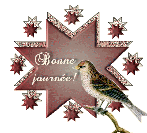 Conseil pour mon "Piou" - Page 2 Bonne_60