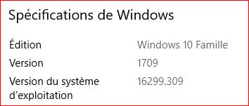 Windows 10 Pat1010