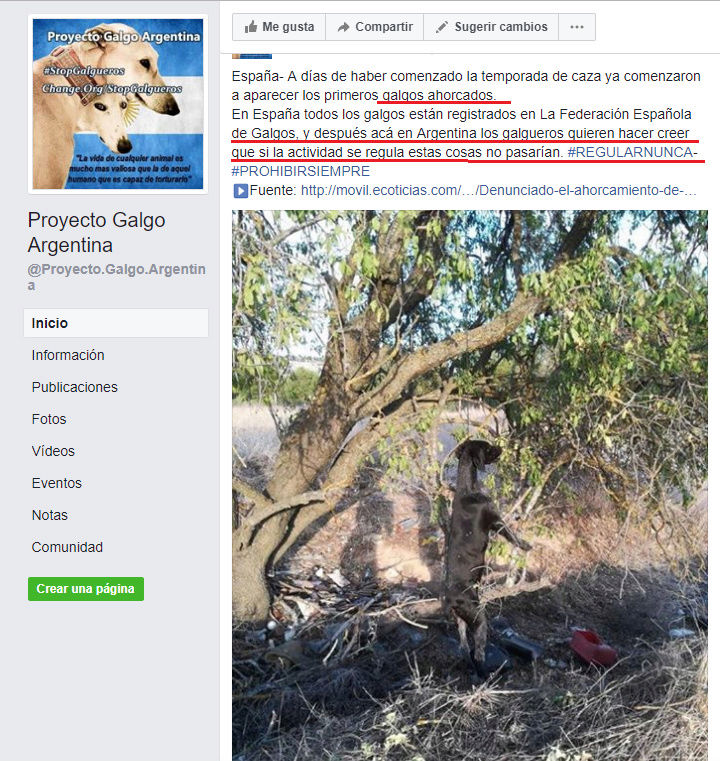 PROYECTO GALGO ARGENTINA - WEB ARGENTINA VEGANISTA INCITA AL ODIO A LOS SERES HUMANOS Pacma410