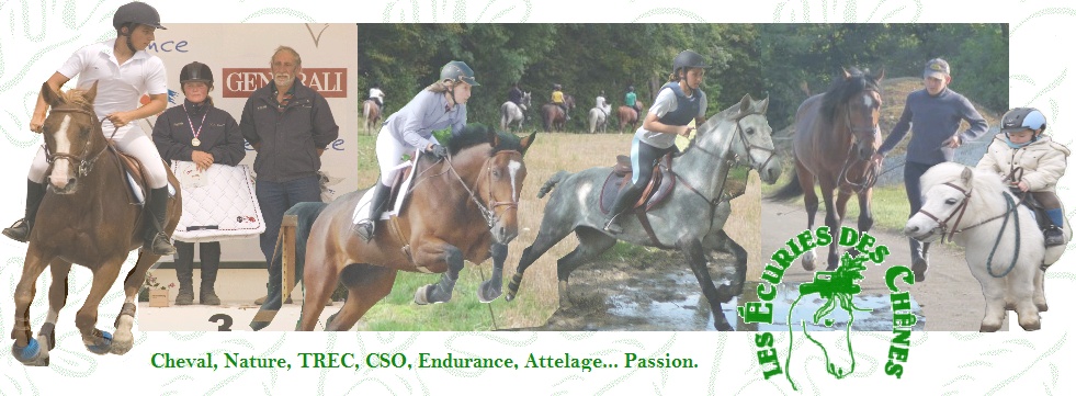 cavalerie des chênes - Portail Bannie13