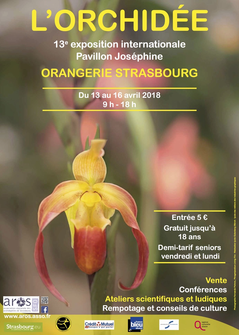 Exposition d'orchidées à Strasbourg Avril 2018 Orchid10