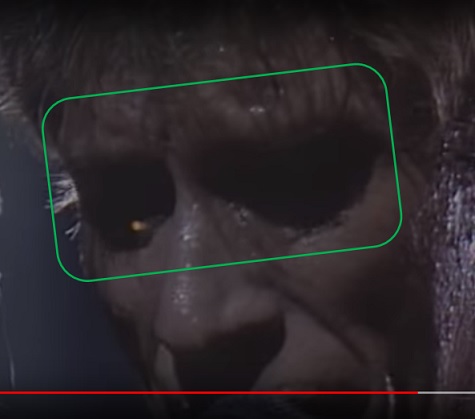 JOHNNY HALLIDAY, "EL ELVIS FRANCÉS" - Página 2 Aa41