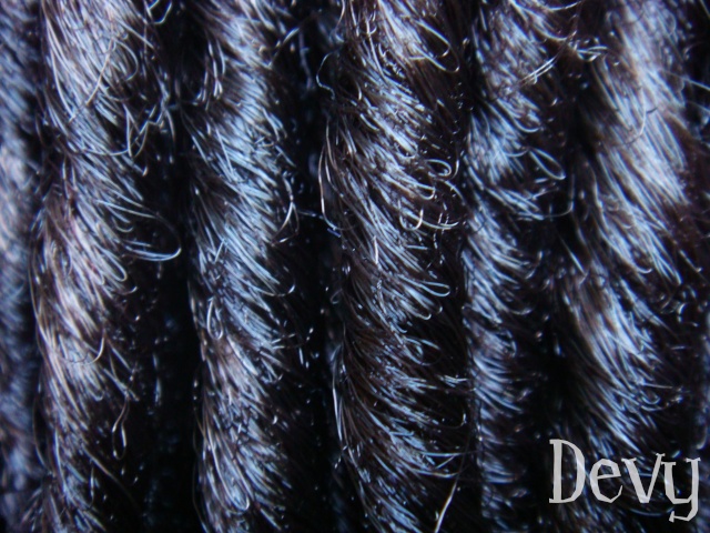 Devy's dreads | NANTES/St Brieuc/VPC - Page 3 Lea2-110