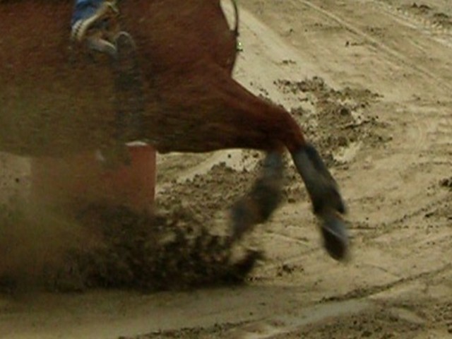 Barrel Racer