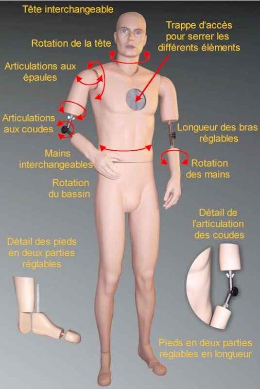 (N) Mannequin bras articulés (VENDU) Manneq10