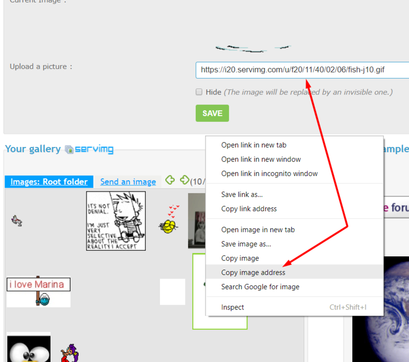 How do I configure Servimg on my forum to see all pics there instead of at their site? Scree455
