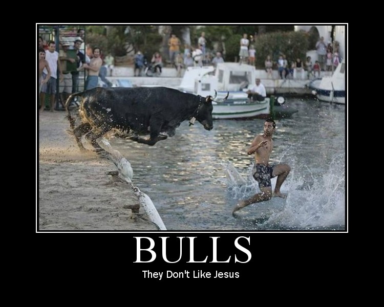 Demotivational posters - Page 3 Bulls10