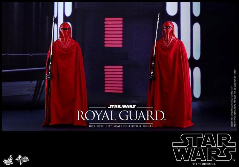 Hot Toys Star Wars - Royal Guard Sixth Scale Figure Royalg18