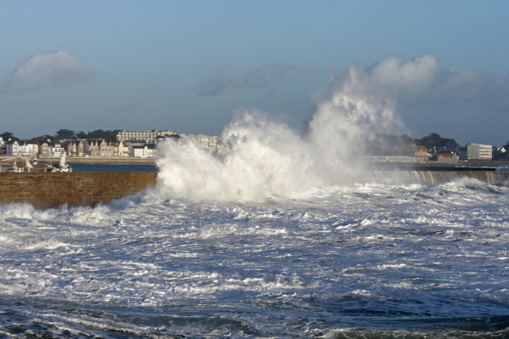 La fin d'aprés midi selon "Carmen" ! Dsc_1541