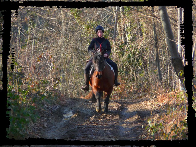 Prince, roi de mes montagnes ! Des nouvelles, pas fameuse ! P1030338