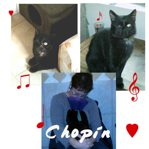 Mon petit Chopin.... Chopin10