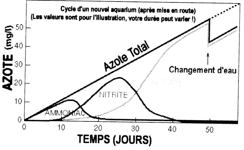 Projet poisson d'eau douce Courbe10