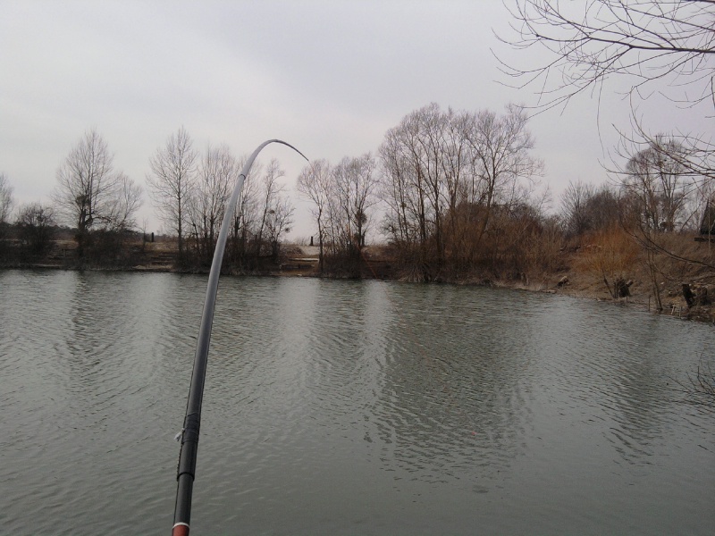 Premiére de l'année alors pêche à roder !!! Photo013