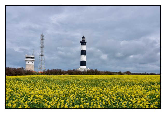 L'île d'Oléron et environs sous la pluie (Avril 2018) Chassi11