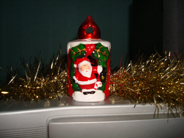 Montrez nous votre décoration de Noël 2010 !  Dsc01214