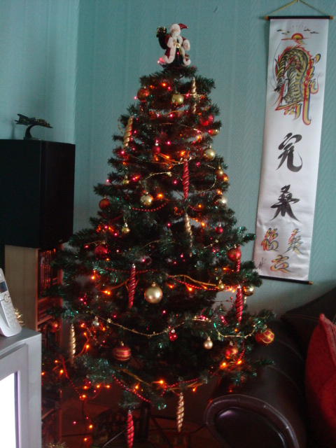 Montrez nous votre décoration de Noël 2010 !  Dsc01218