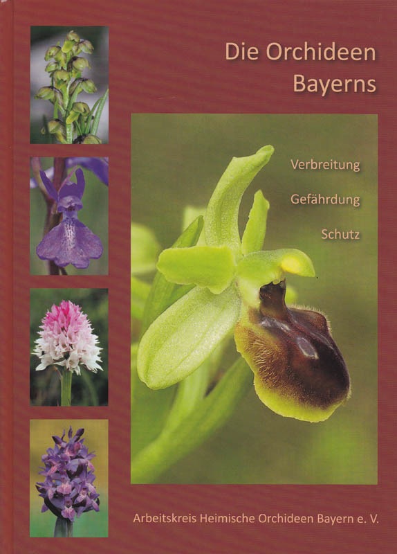 Die orchideen Bayerns Bayern10
