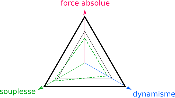 Gymnastique aux agrés (et accessoirement musculation/exercices poids du corps + souplesse) Gainso10