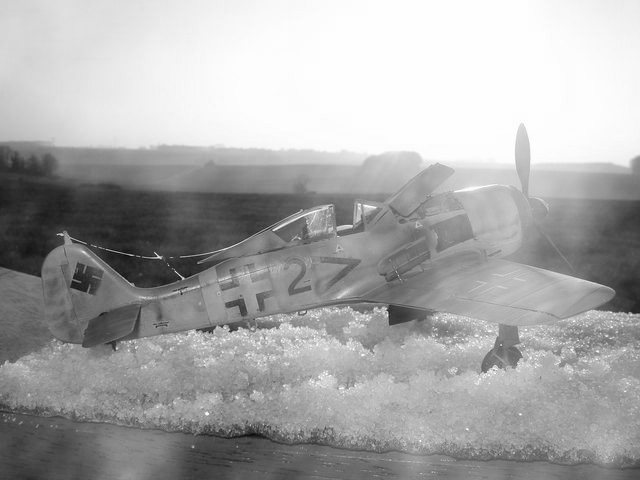 FW 190 F8 Eduard Dsc01943