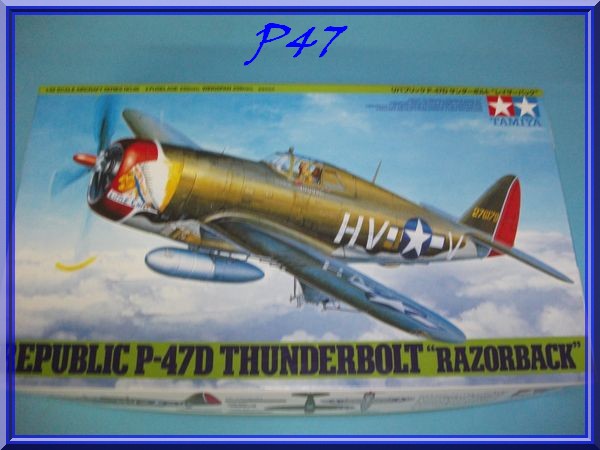 [Tamiya] P47D Thunderbolt (Razorback) 1/48 Dscf0174