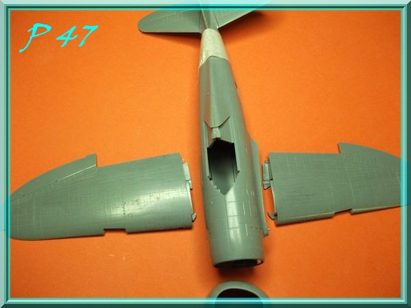 [Tamiya] P47D Thunderbolt (Razorback) 1/48 Dscf0210