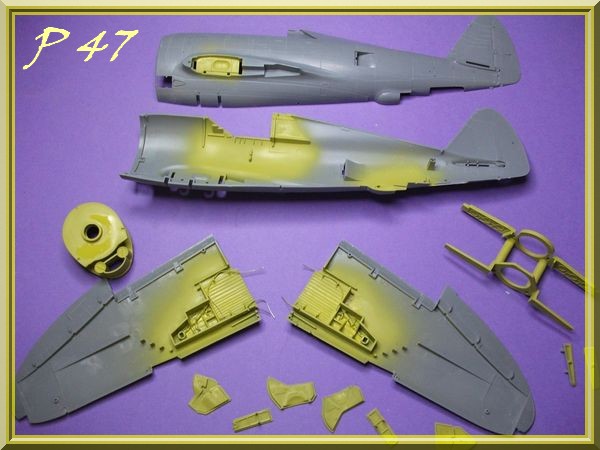 [Tamiya] P47D Thunderbolt (Razorback) 1/48 - Page 2 Dscf0221