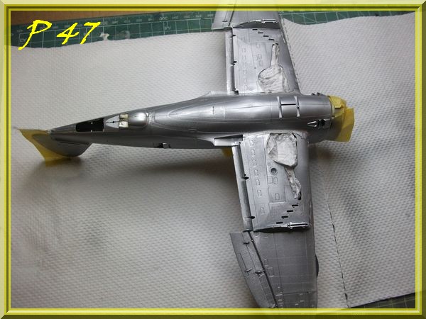 [Tamiya] P47D Thunderbolt (Razorback) 1/48 - Page 3 Dscf0311